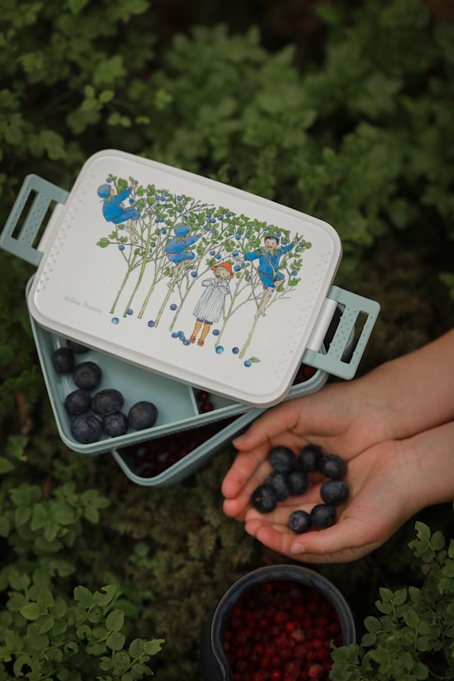 Produktbild 3 för Beskow Putte Lunchlåda Rätt Start
