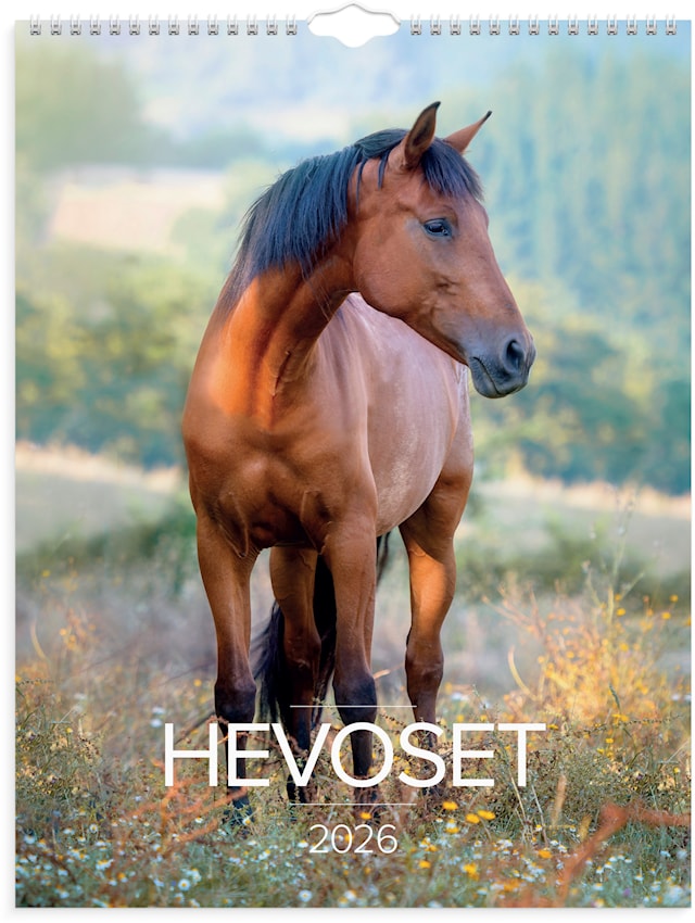 Produktbild 1 för Seinäkalenteri 2026 Hevoset 295x390 mm Burde