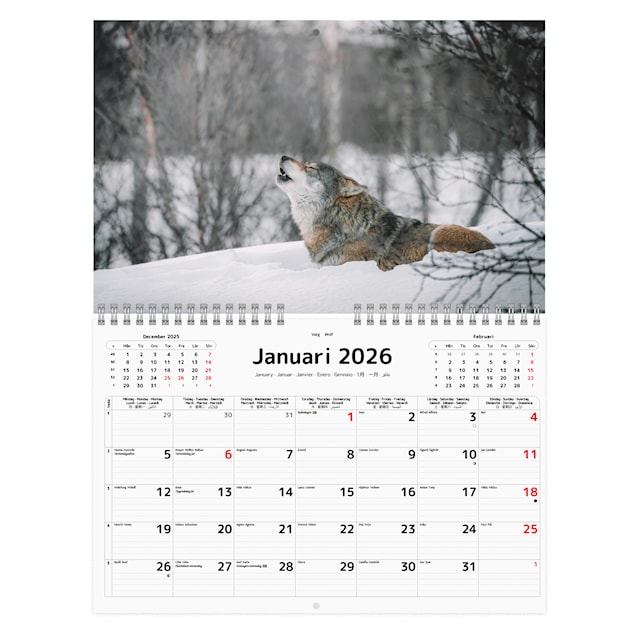 Produktbild 2 för Väggkalender Levande Skog 2026