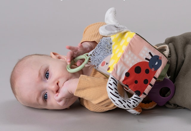 Tuotekuva 3 - Urban Garden Activity cube TAF Toys