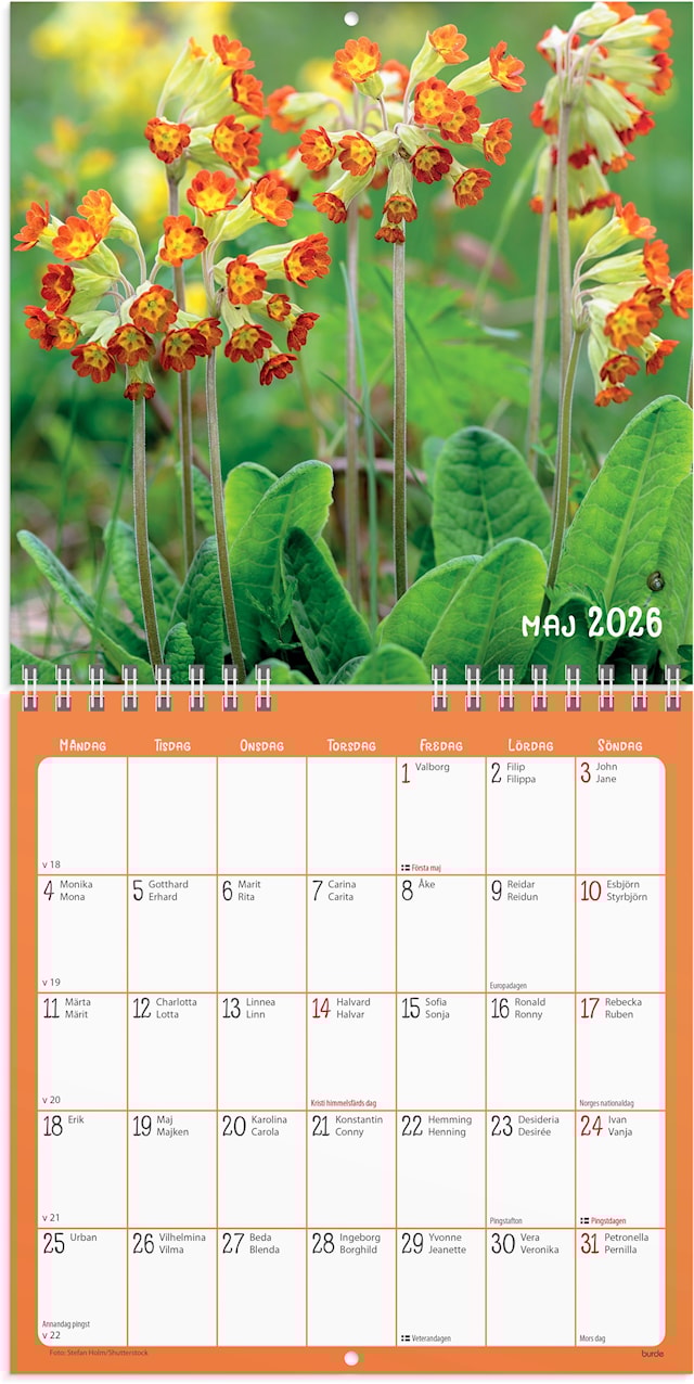 Tuotekuva 2 - Väggkalender 2026 Blommor 160x160 mm Burde