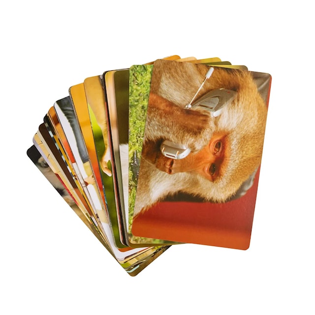 Tuotekuva 5 - What Do You Meme? Family (EN)