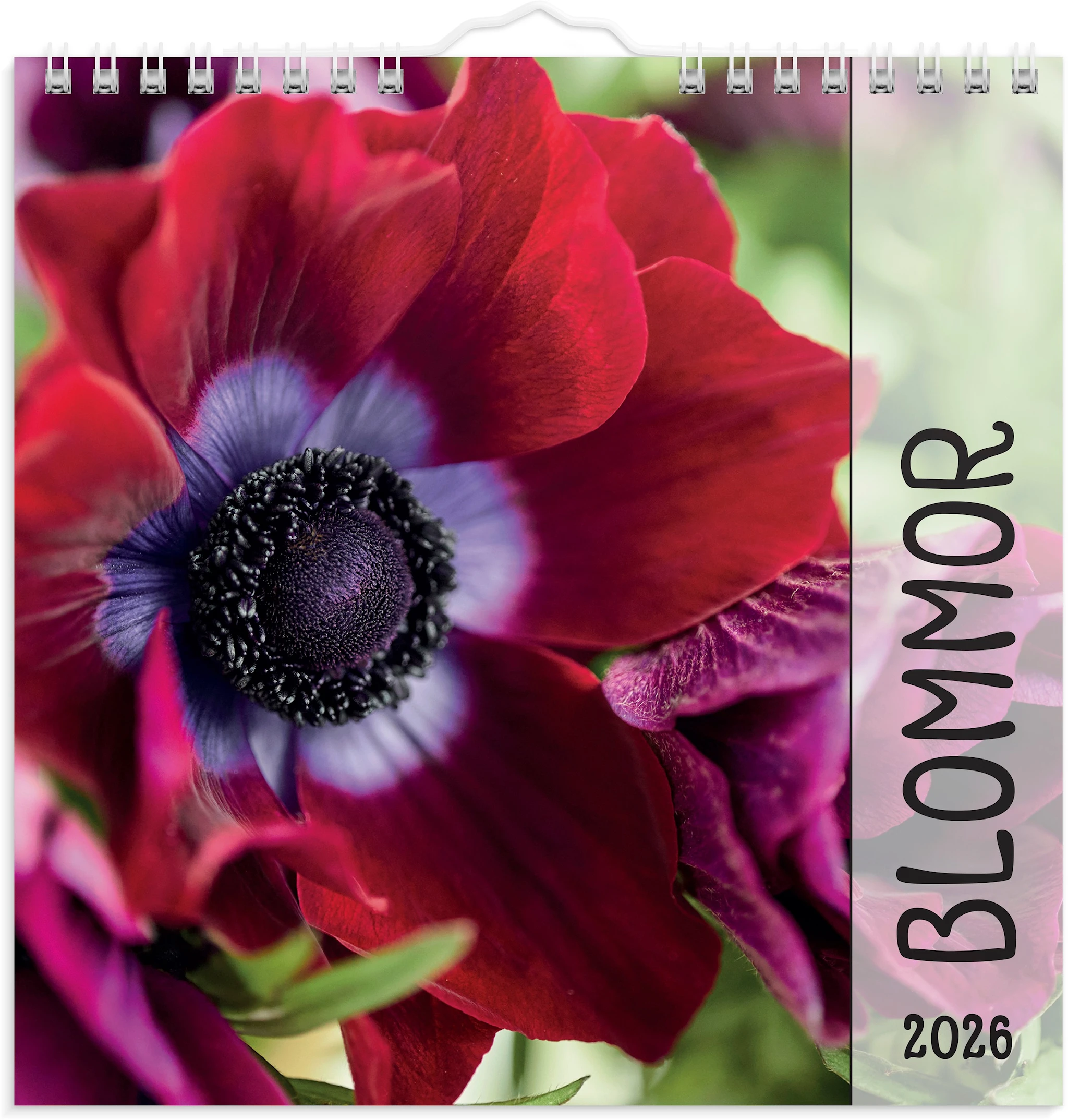 Produktbilde for Väggkalender 2026 Blommor 160x160 mm Burde