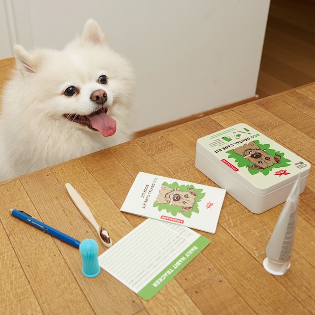 Tuotekuva 2 - Eco Dental Care Kit Kobe