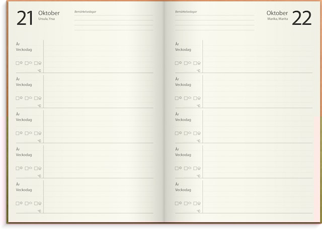 Tuotekuva 2 - 5-vuotispäiväkirja Taite nahka Kognakki, Burde