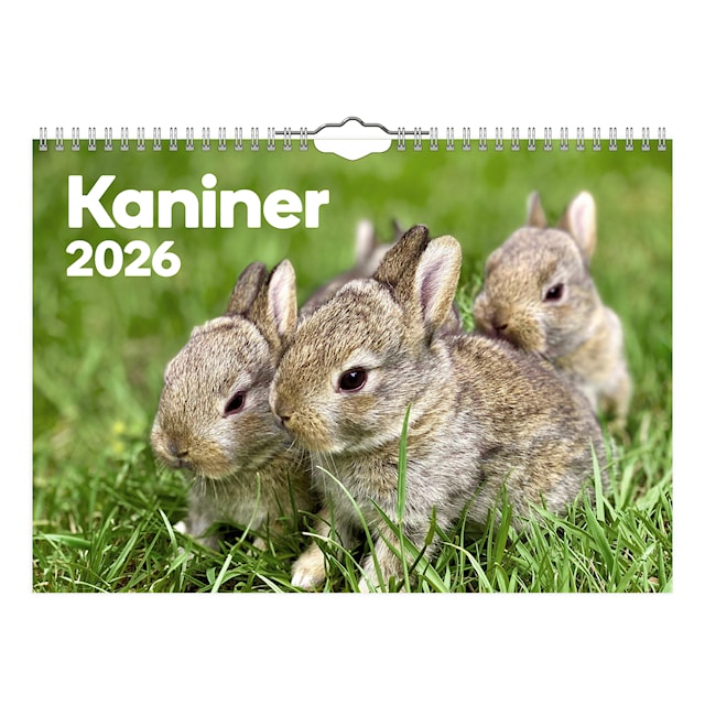 Produktbild 1 för Väggkalender Kaniner Small 2026