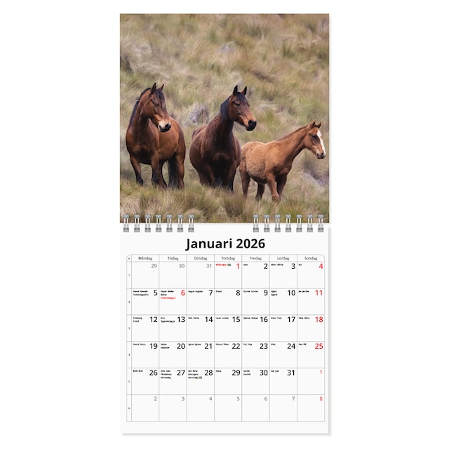 Produktbild 2 för Väggkalender Hästar Mini 2026