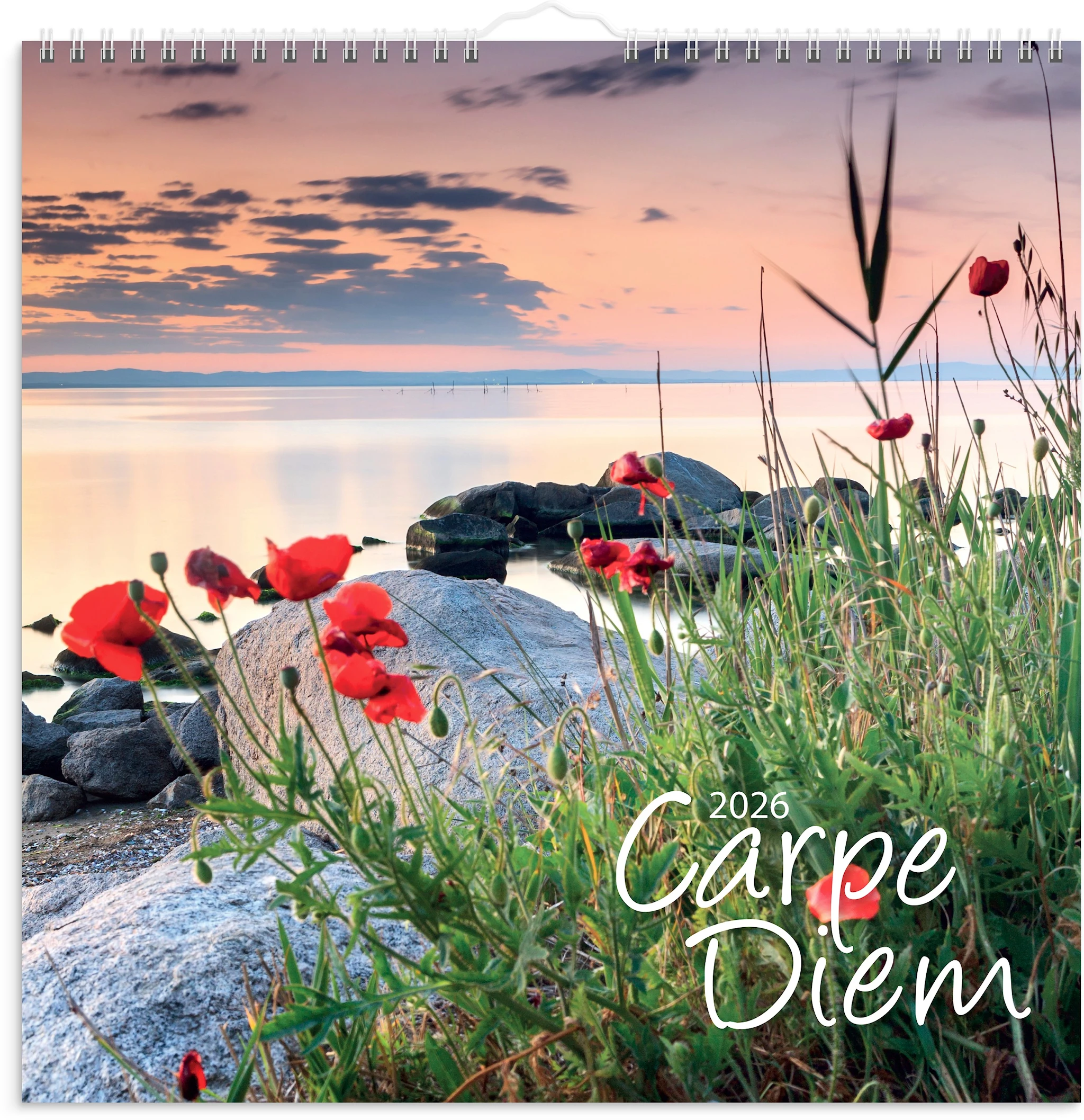 Tuotekuva ille Seinäkalenteri 2026 Carpe Diem 300x300 mm Burde