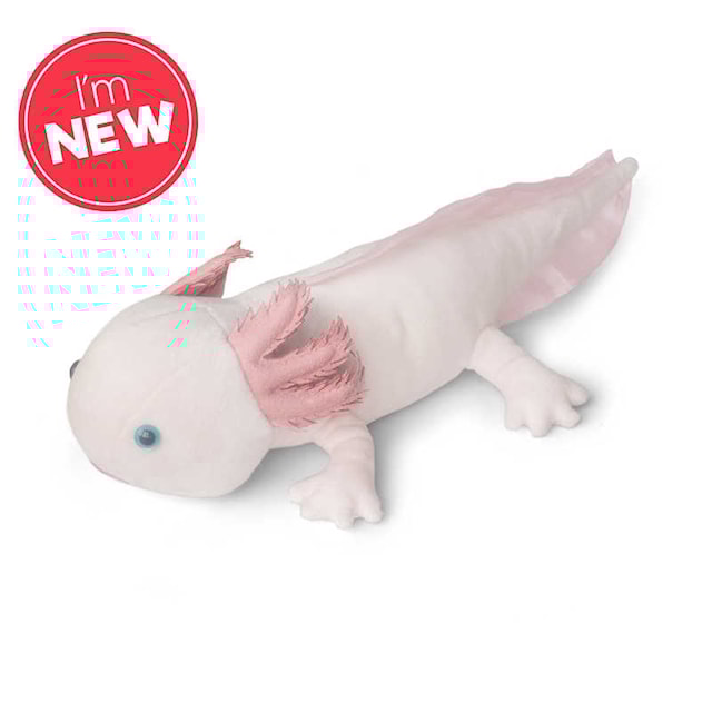 Produktbilde 3 for World Of Nature Axolotl Kosedyr Animigos