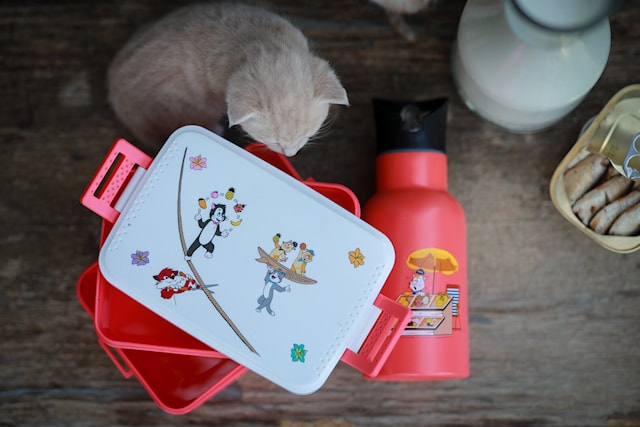 Tuotekuva 3 - Pelle Svanslös Eväsrasia Koralli Rätt Start