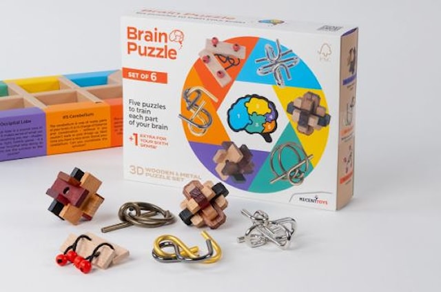 Produktbilde 1 for Hjernepuslesett 6 i 1 Recent Toys