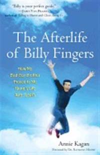 Afterlife of Billy Fingers