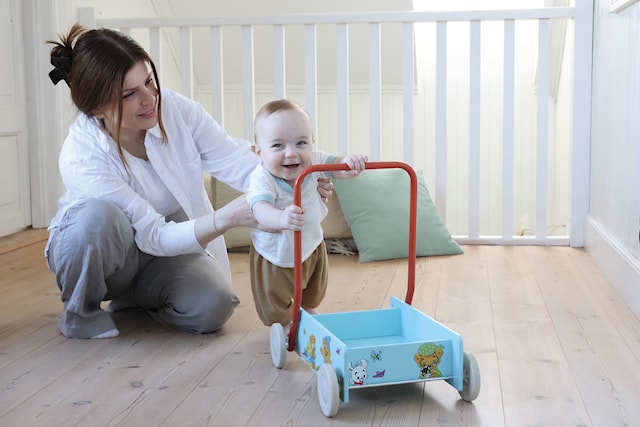 Produktbild 4 för Bamse Lära Gå Vagn Micki