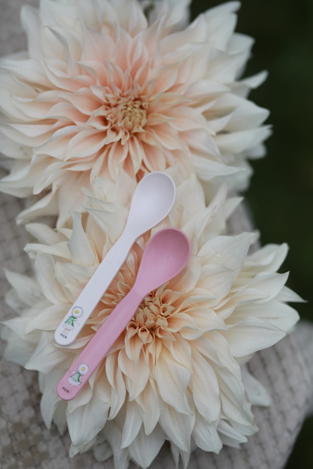 Produktbild 2 för Beskow Blomsterfesten Skedar 2-pack Rätt Start