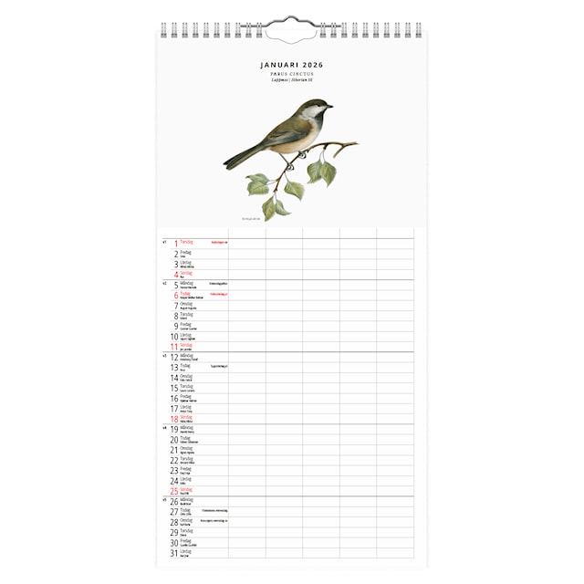 Produktbild 2 för Familjekalender Fåglar 2026
