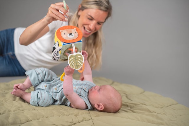 Produktbilde 2 for TAF Toys 12755 Savannah Discovery Cube