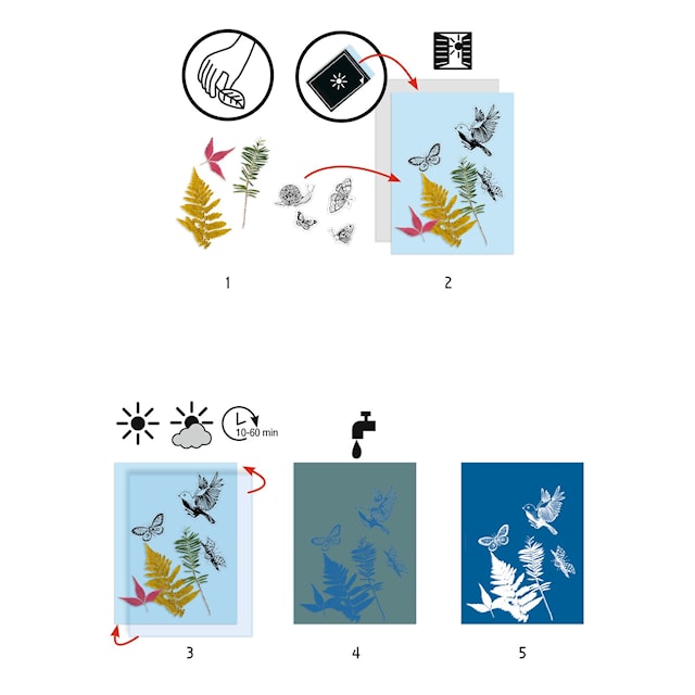 Tuotekuva 2 - Luo valolla ja syanotopialuonnolla, Djeco, 8 arkkia