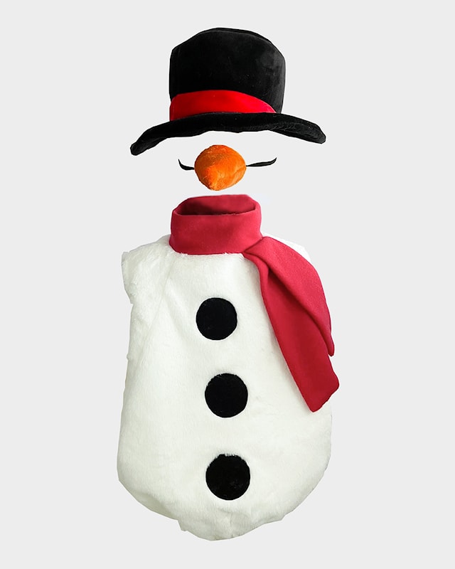 Produktbild 1 för Snögubbe med accessoarer 98-104 cl Den goda fen