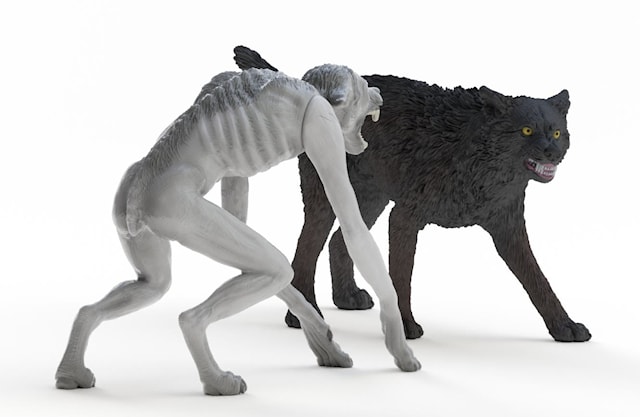 Produktbild 1 för Wizarding World Werewolf och Animagus Schleich