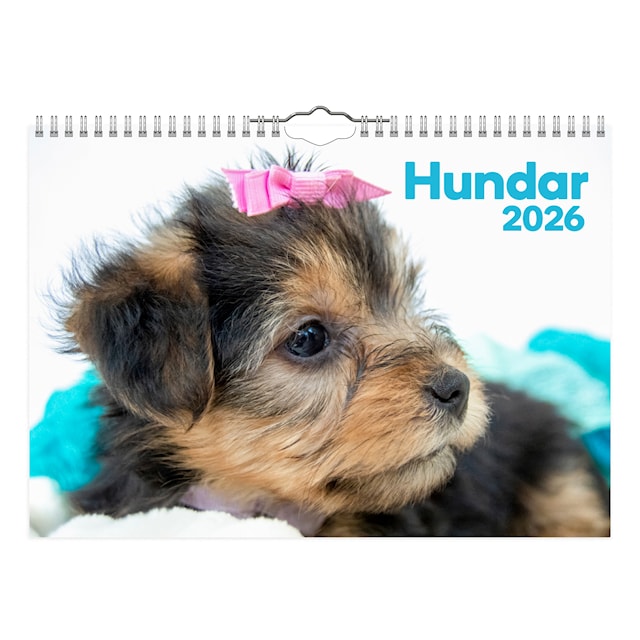 Produktbild 1 för Väggkalender Hundar Small 2026