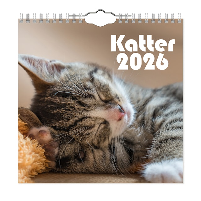 Produktbild 1 för Väggkalender Katter Mini 2026