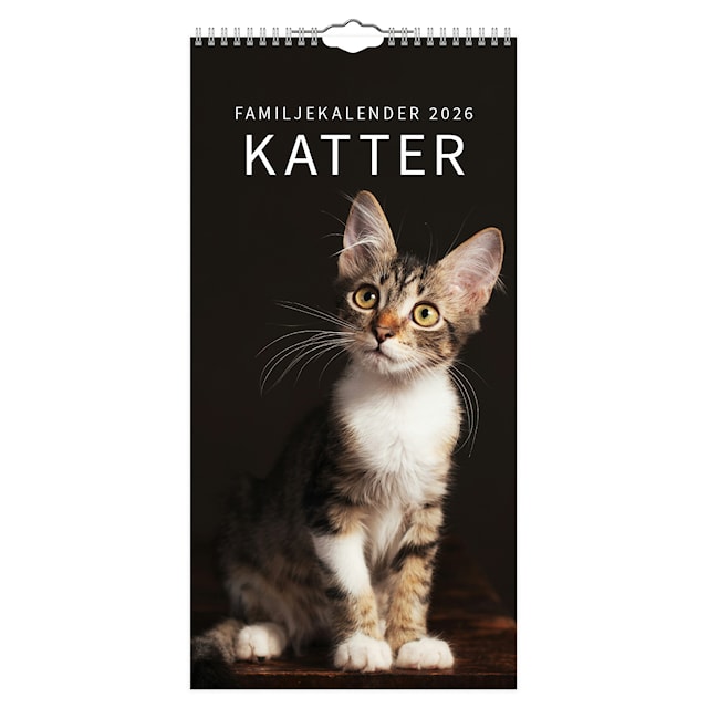 Produktbild 1 för Familjekalender Katter 2026