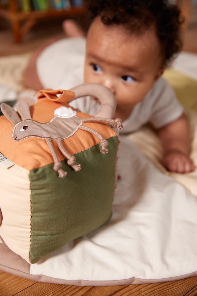 Tuotekuva 4 - Aktiviteettikuutio Carrot Thief Filibabba