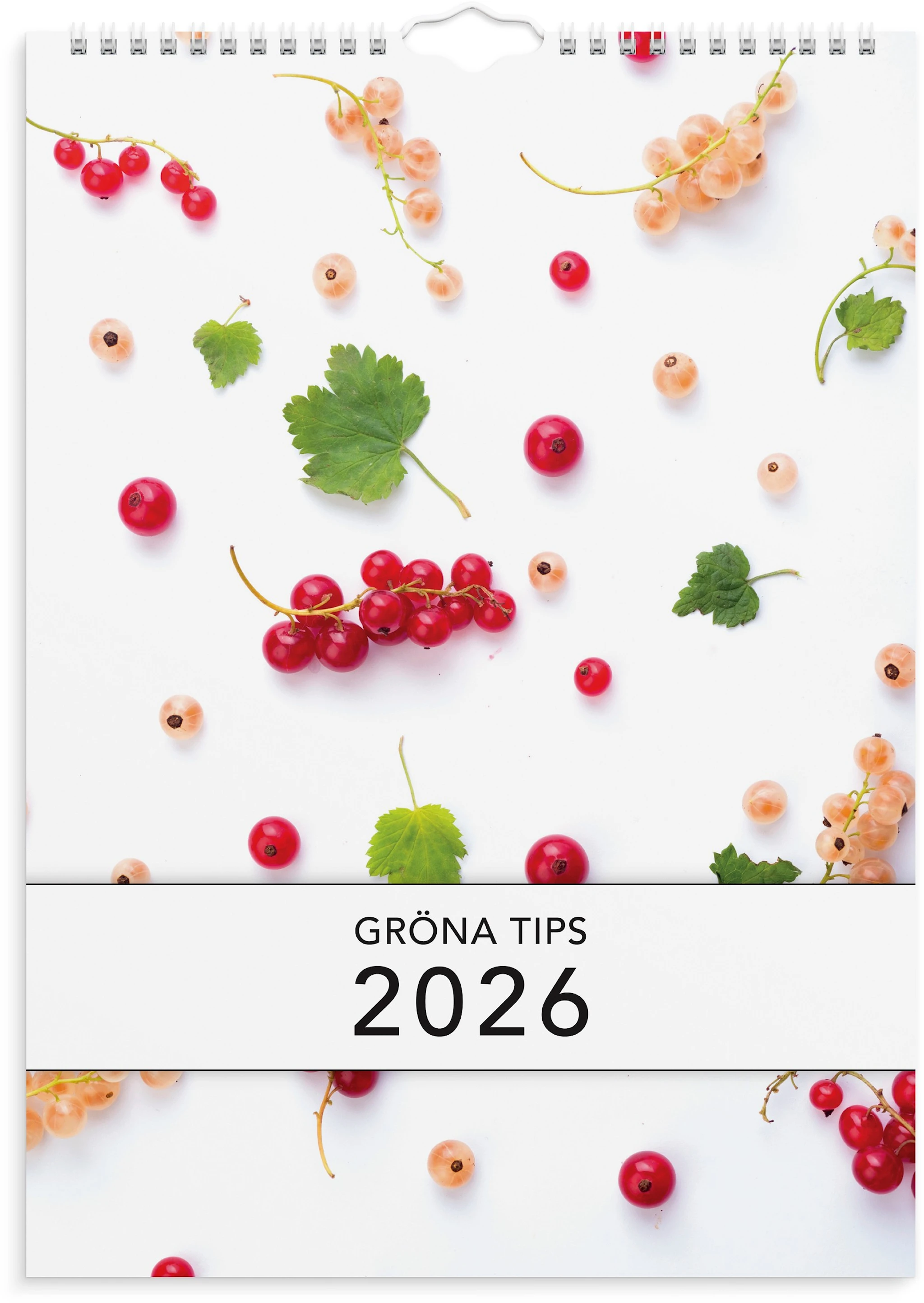 Produktbilde for Väggkalender 2026 A4 Gröna Tips Burde