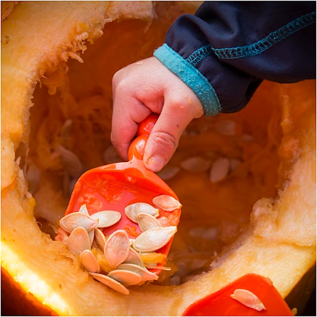 Produktbild 5 för Skärset Pumpa 5 Delar