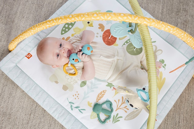 Tuotekuva 4 - Fisher-Price Sensimals -Puuhamatto