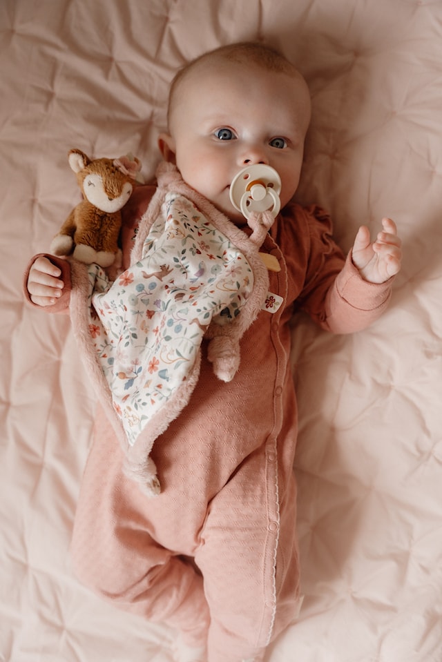 Produktbilde 3 for Fairy Garden Koseklut Little Dutch