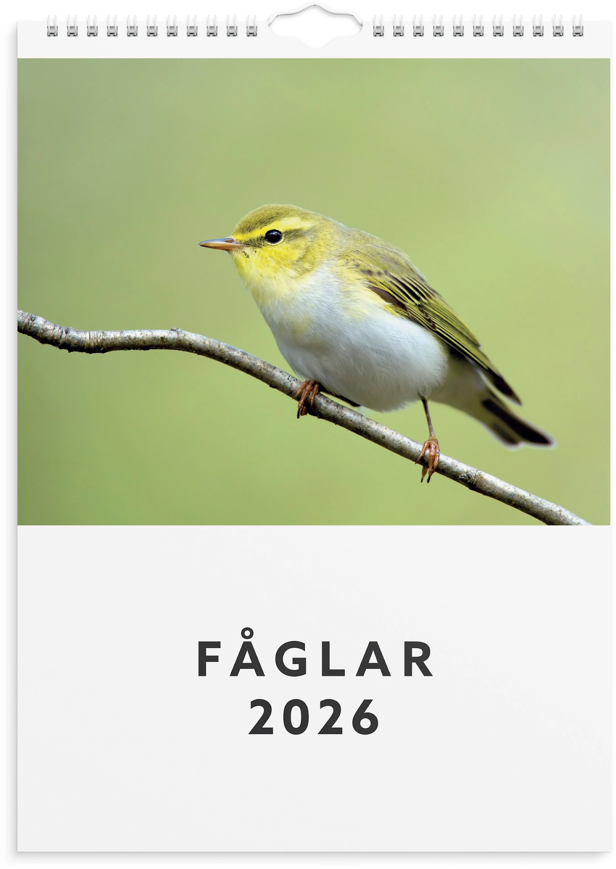 Produktbilde for Väggkalender 2026 A4 Fåglar Burde