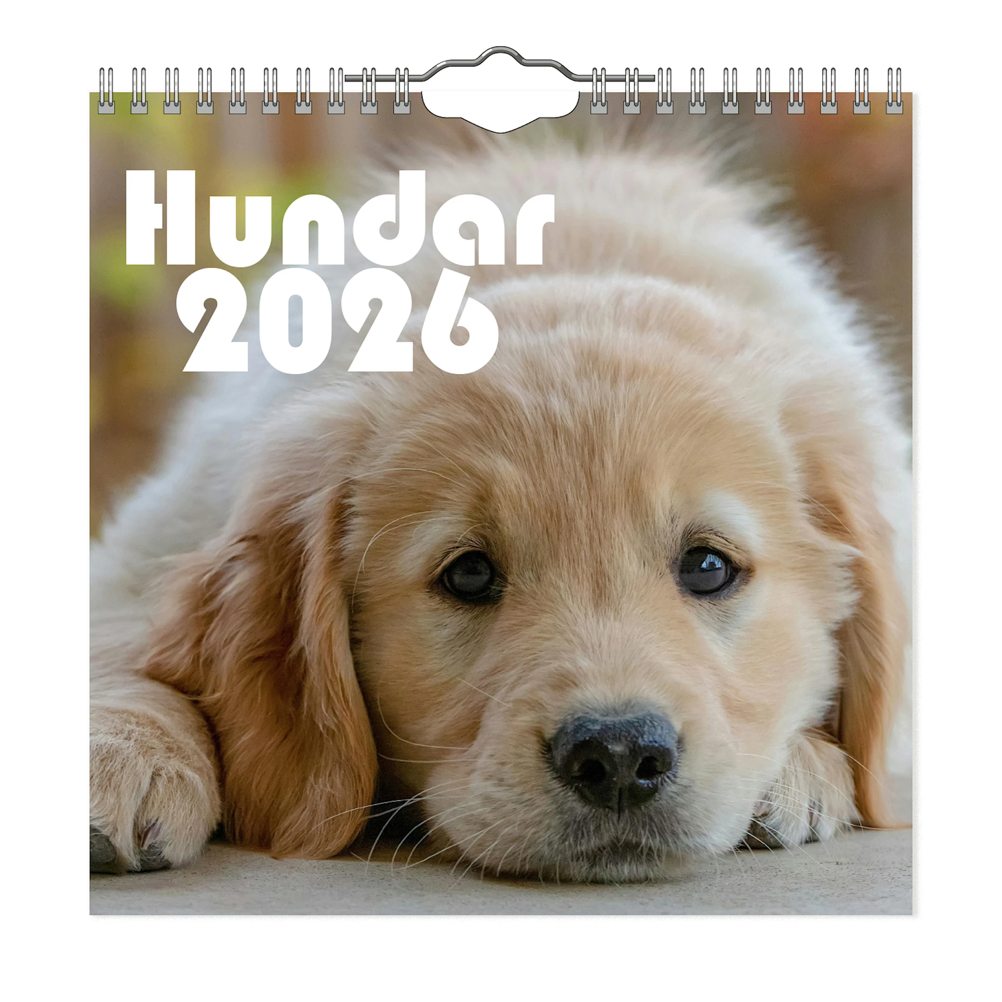 Produktbild för Väggkalender Hundar Mini 2026
