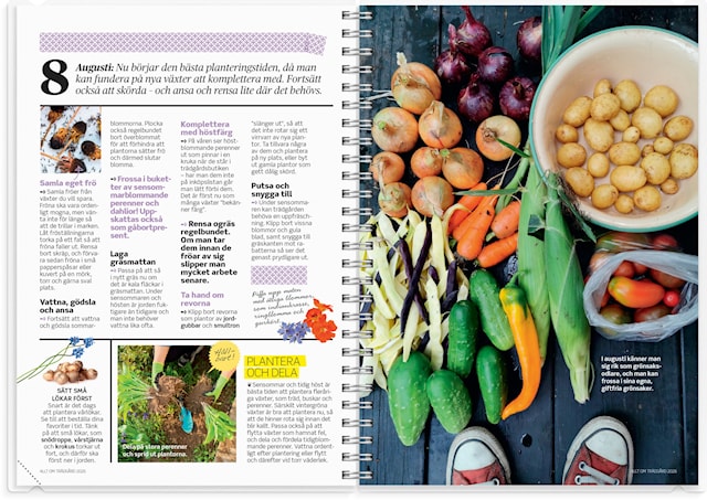 Produktbild 3 för Kalender 2026 A5 Allt om Trädgård Burde