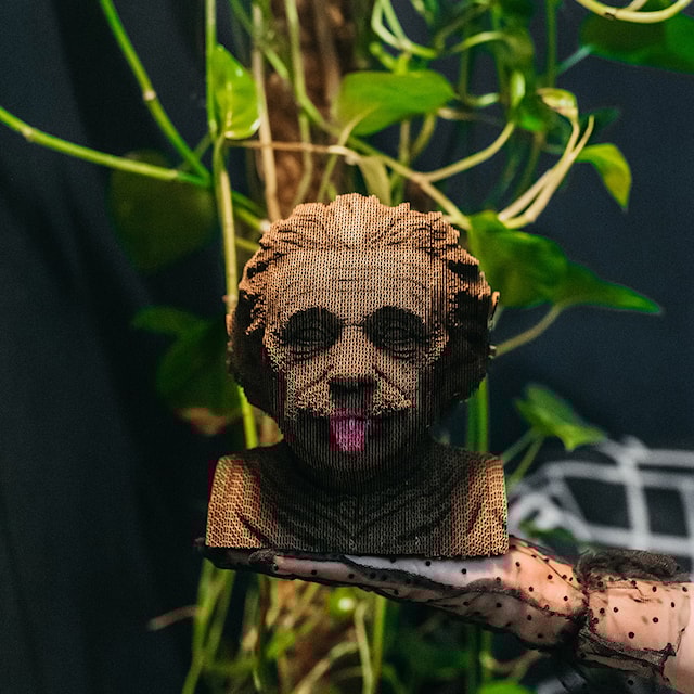 Tuotekuva 5 - Cartonic 3D Pussel Einstein