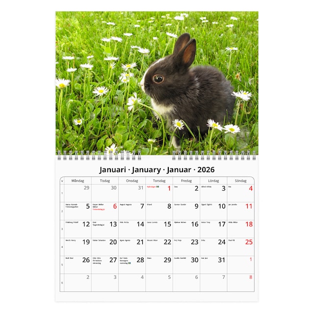 Produktbild 2 för Väggkalender Kaniner Small 2026