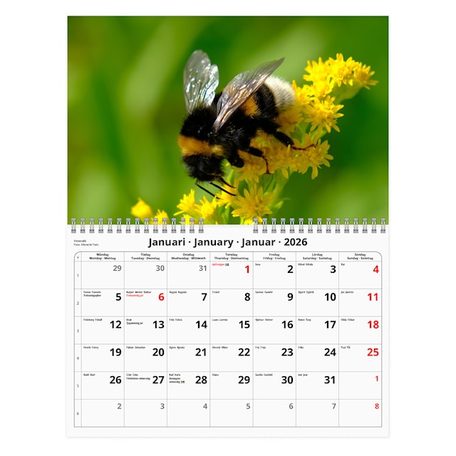 Produktbild 2 för Väggkalender Humlor 2026