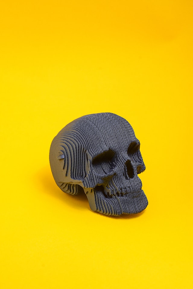 Produktbild 6 för Cartonic 3D Pussel Döskalle