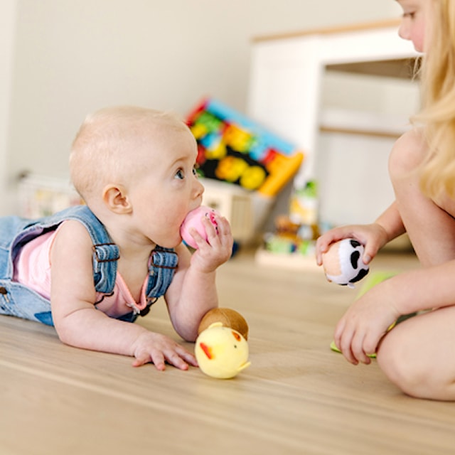 Produktbilde 3 for Bollar Bondgårdsdjur 4-Pack Melissa and Doug