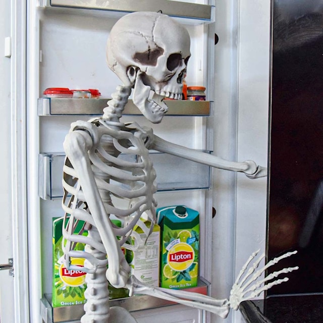 Produktbilde 5 for Human-size Skeleton 1.70m