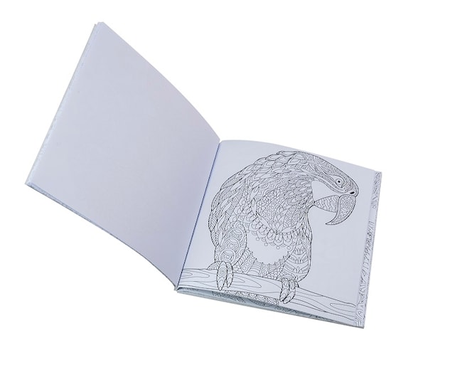 Produktbilde 2 for Den fortrollede skogen, malebok