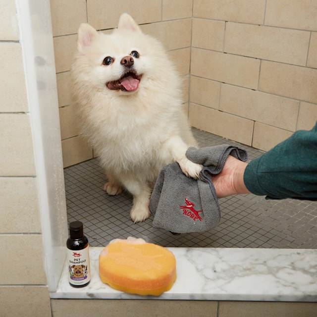 Tuotekuva 2 - Dog Bath Kit, Kikkerland