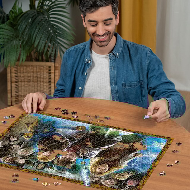 Produktbilde 4 for Magiske studenten Harry Potter Puslespill 1000 brikker, Ravensburger