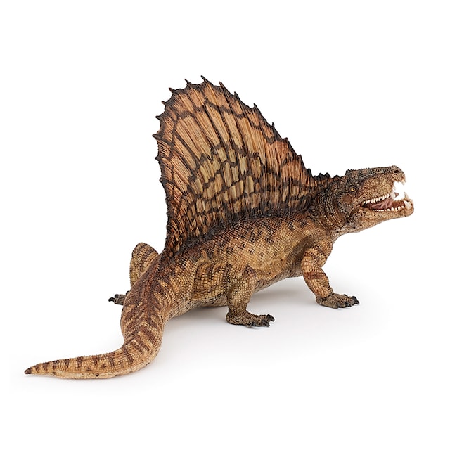 Tuotekuva 1 - Dimetrodon PAPO
