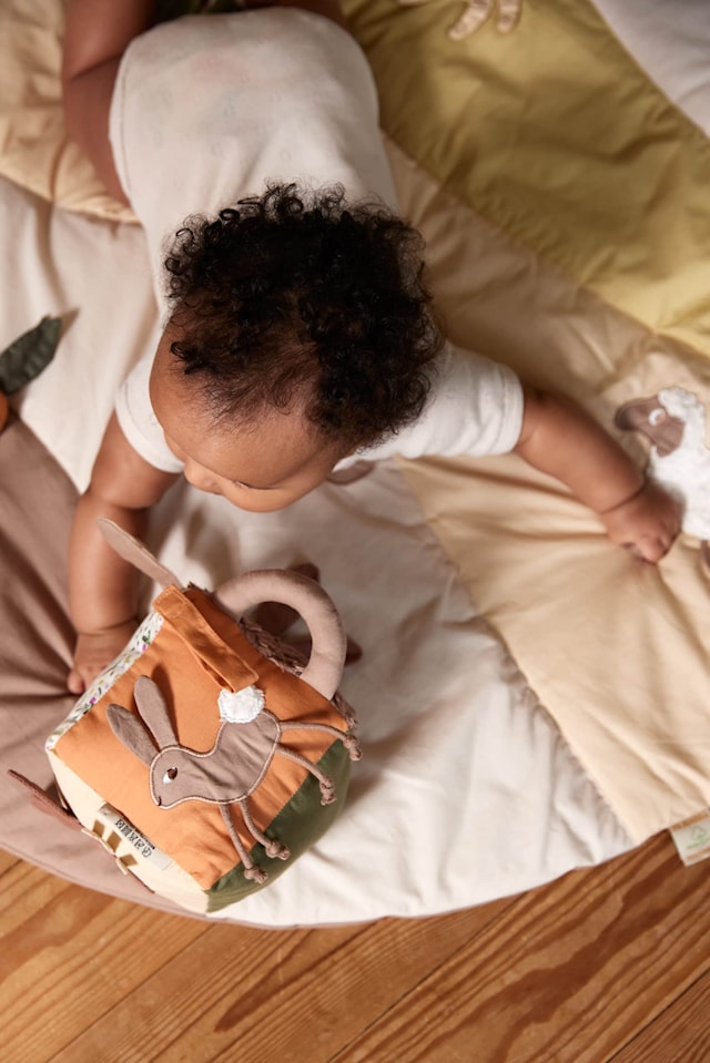 Produktbild 5 för Aktivitetskub Carrot Thief Filibabba