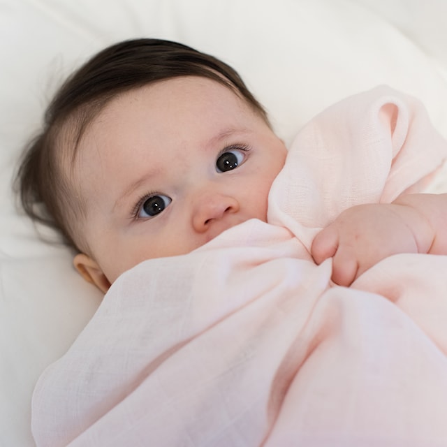 Tuotekuva 2 - Muslinfiltar 2-pack Pale Pink GOTS Summerville Organics