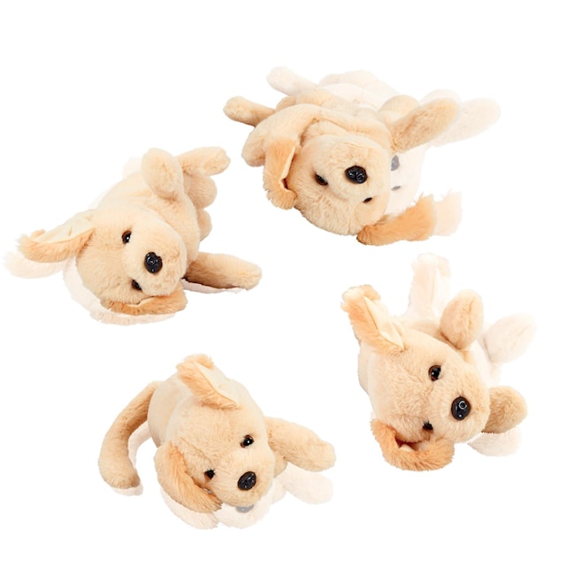 Tuotekuva 2 - Roll Over Puppy Happy Pets