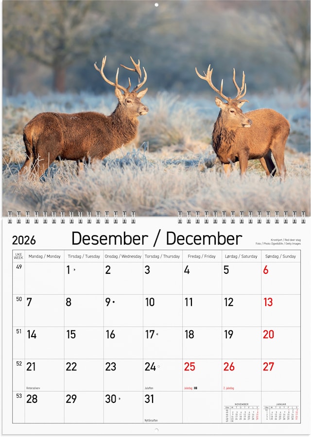 Produktbilde 3 for Veggkalender 2026 A4 Norske Dyr GRIEG