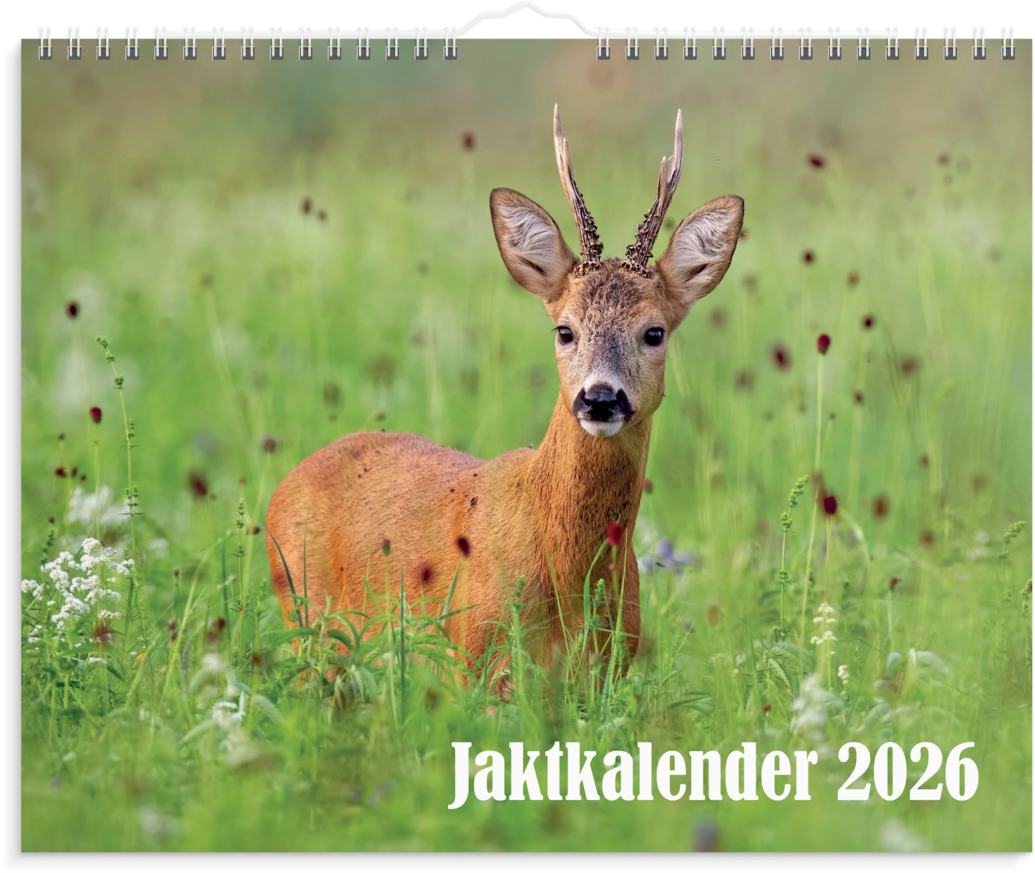 Tuotekuva ille Väggkalender 2026 Jaktkalender 300x240 mm Burde