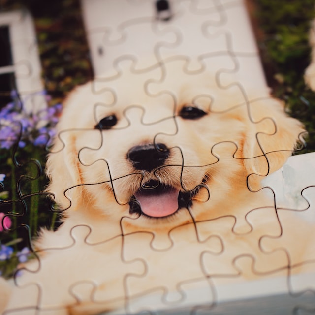Produktbild 3 för Golden Retriever Pussel 200 bitar, Ravensburger